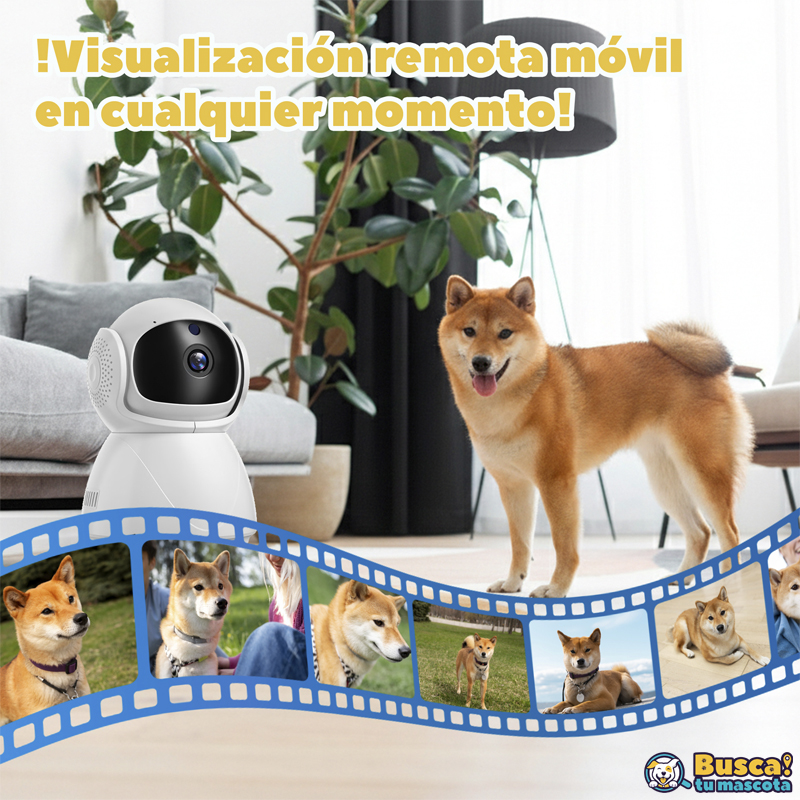 Cámara de Vigilancia para Mascotas - Image 2