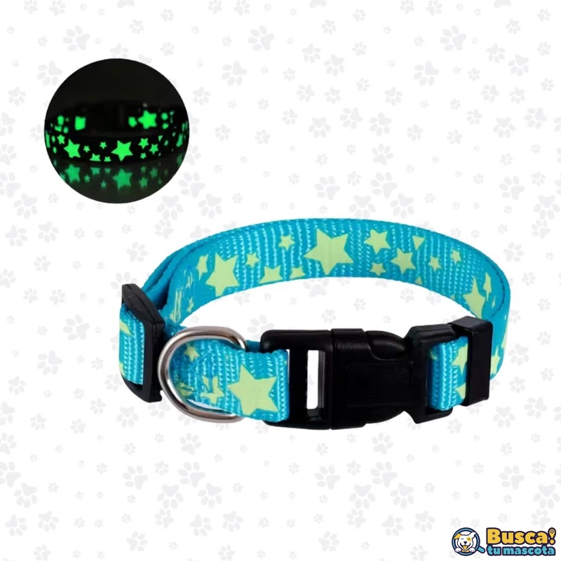 Collares BuscaTuMascota - Image 2