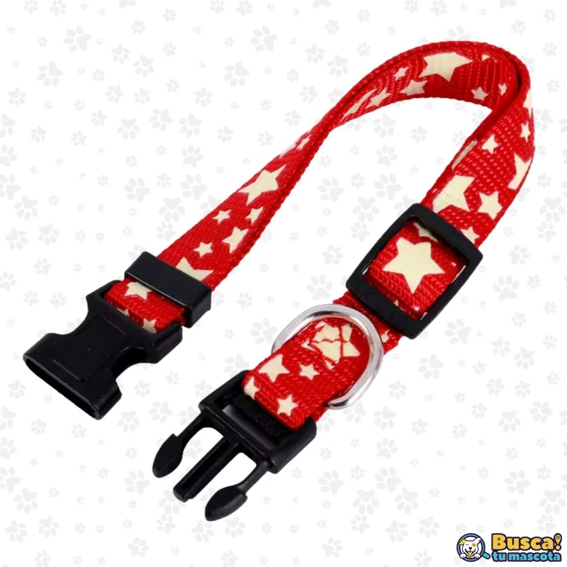 Collares BuscaTuMascota - Image 4